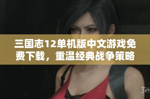 三国志12单机版中文游戏免费下载，重温经典战争策略乐趣