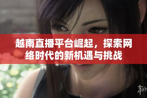 越南直播平台崛起，探索网络时代的新机遇与挑战
