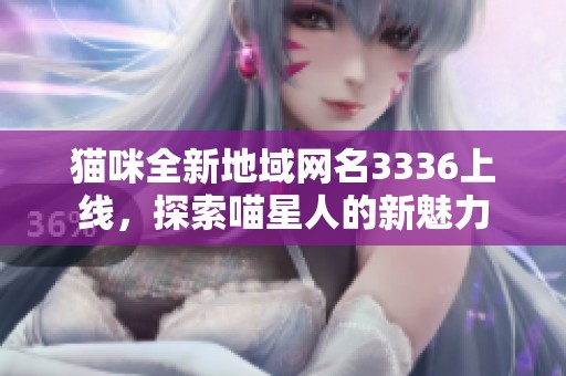 猫咪全新地域网名3336上线，探索喵星人的新魅力
