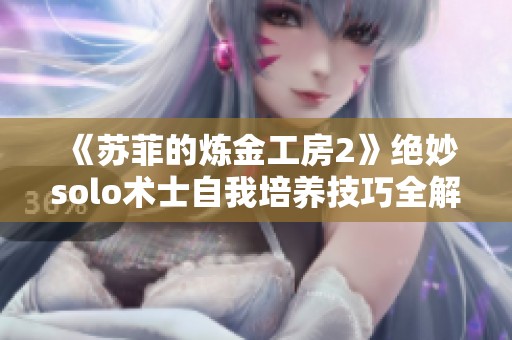 《苏菲的炼金工房2》绝妙solo术士自我培养技巧全解析