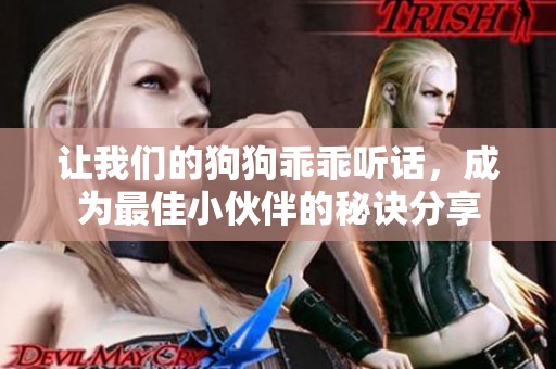 让我们的狗狗乖乖听话，成为最佳小伙伴的秘诀分享