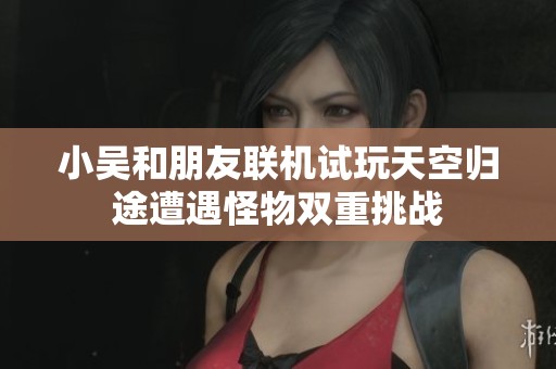 小吴和朋友联机试玩天空归途遭遇怪物双重挑战
