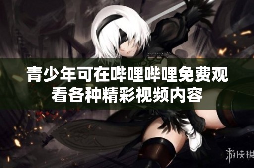 青少年可在哔哩哔哩免费观看各种精彩视频内容