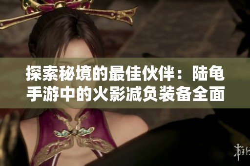 探索秘境的最佳伙伴：陆龟手游中的火影减负装备全面解析