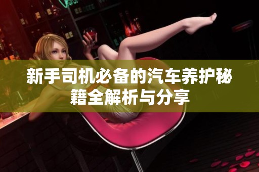 新手司机必备的汽车养护秘籍全解析与分享
