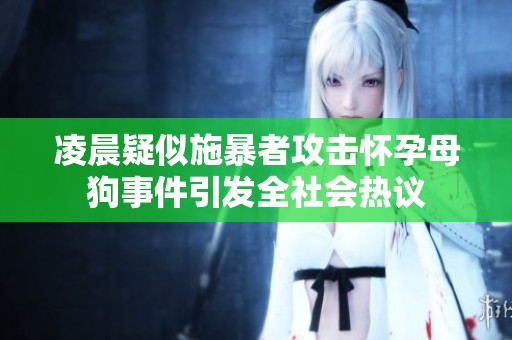 凌晨疑似施暴者攻击怀孕母狗事件引发全社会热议