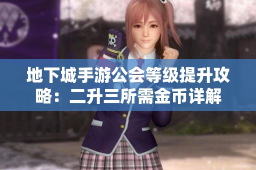 地下城手游公会等级提升攻略：二升三所需金币详解