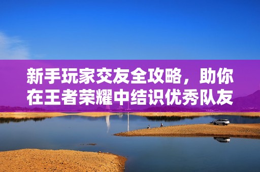 新手玩家交友全攻略，助你在王者荣耀中结识优秀队友