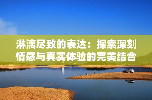 淋漓尽致的表达：探索深刻情感与真实体验的完美结合