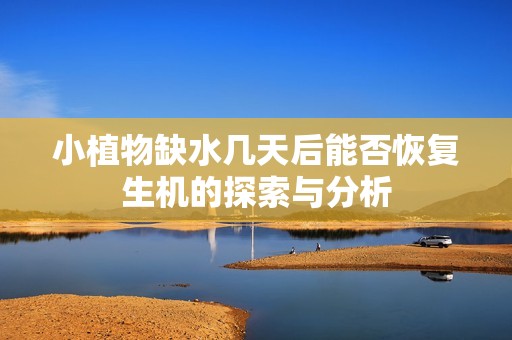 小植物缺水几天后能否恢复生机的探索与分析