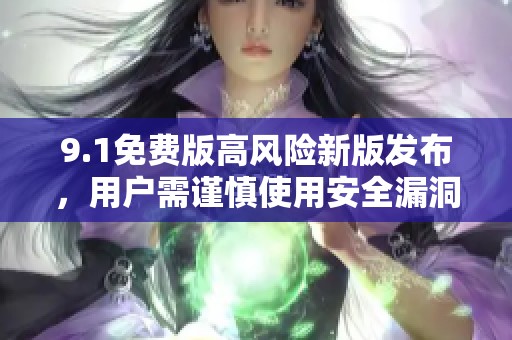 9.1免费版高风险新版发布，用户需谨慎使用安全漏洞指南