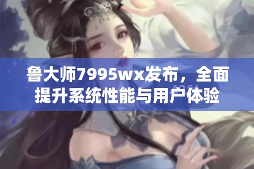 鲁大师7995wx发布，全面提升系统性能与用户体验