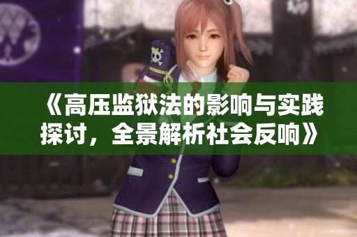 《高压监狱法的影响与实践探讨，全景解析社会反响》