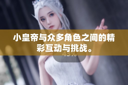 小皇帝与众多角色之间的精彩互动与挑战。