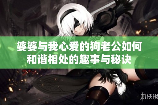 婆婆与我心爱的狗老公如何和谐相处的趣事与秘诀