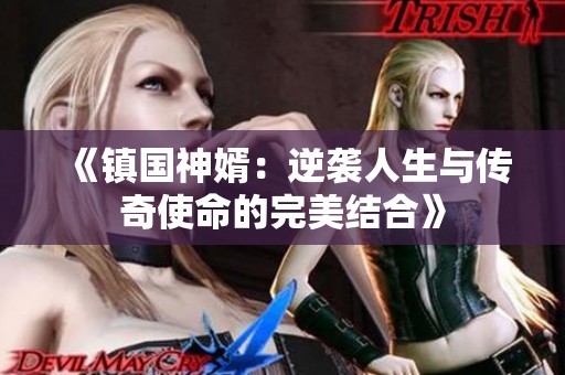 《镇国神婿：逆袭人生与传奇使命的完美结合》