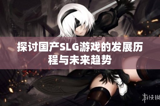 探讨国产SLG游戏的发展历程与未来趋势
