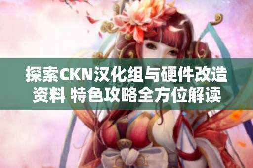 探索CKN汉化组与硬件改造资料 特色攻略全方位解读