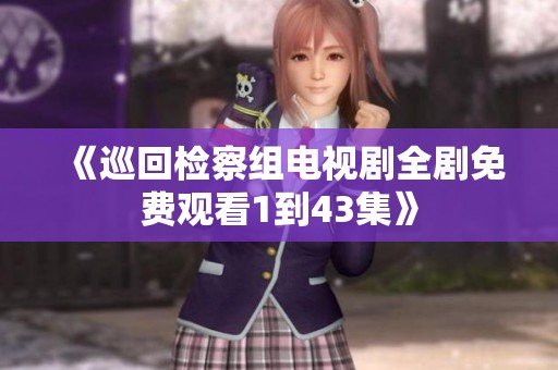 《巡回检察组电视剧全剧免费观看1到43集》