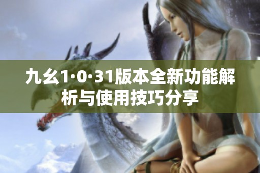 九幺1·0·31版本全新功能解析与使用技巧分享