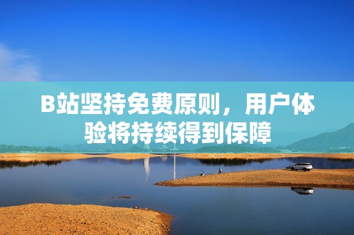 B站坚持免费原则，用户体验将持续得到保障