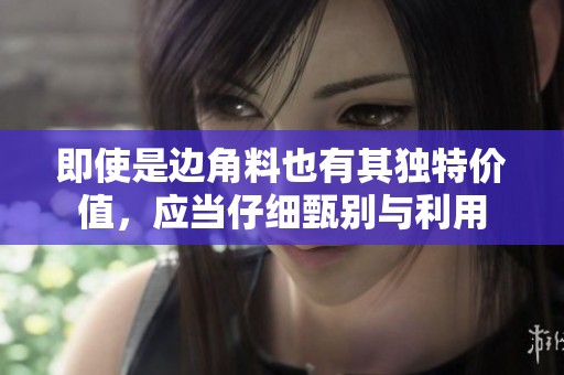 即使是边角料也有其独特价值，应当仔细甄别与利用