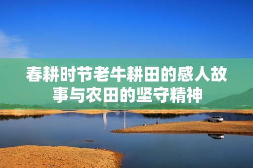 春耕时节老牛耕田的感人故事与农田的坚守精神