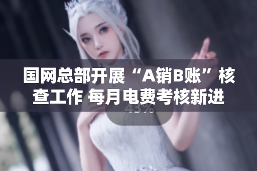 国网总部开展“A销B账”核查工作 每月电费考核新进展