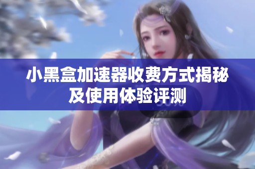 小黑盒加速器收费方式揭秘及使用体验评测