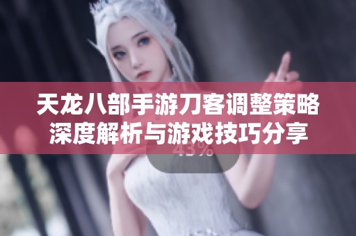 天龙八部手游刀客调整策略深度解析与游戏技巧分享