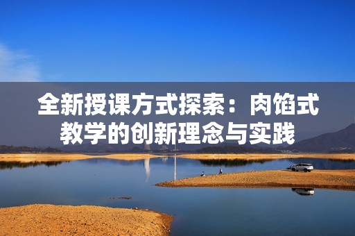 全新授课方式探索：肉馅式教学的创新理念与实践