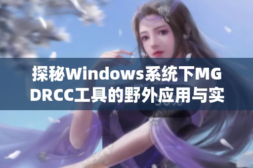 探秘Windows系统下MGDRCC工具的野外应用与实战技巧