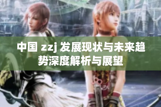 中国 zzj 发展现状与未来趋势深度解析与展望