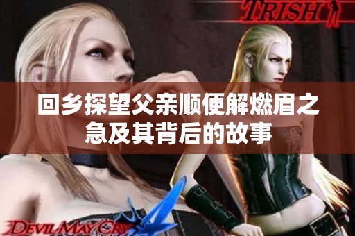 回乡探望父亲顺便解燃眉之急及其背后的故事